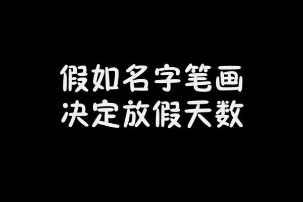 名字打分分析：优化你选名字的决策过程