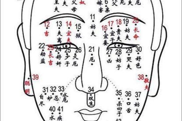 如何通过痣相解读个人运势和性格