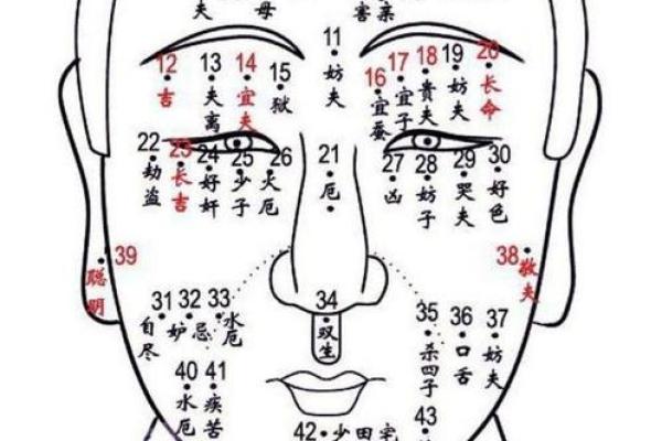 男人的痣相密码：揭示财富、爱情与健康的玄机