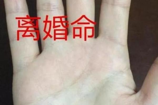 手相女解析：掌中线条与命运的千丝万缕联系