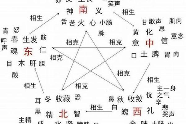 宇五行属什么的深度解析与五行关系探讨