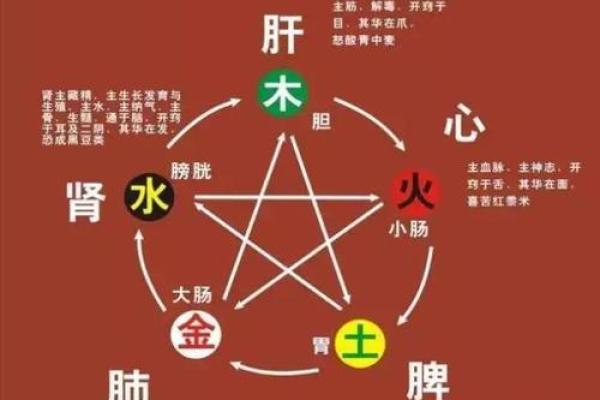 周易算命与生辰八字解析：揭示命运的深层奥秘