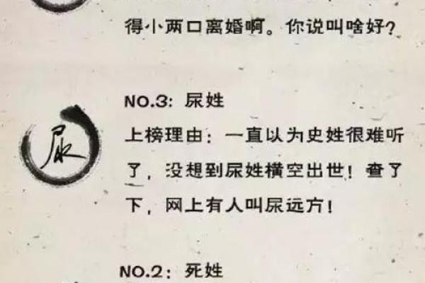 测试名字打分工具：你的名字是否为成功加分项