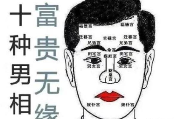 揭秘男人富贵面相的十种标志