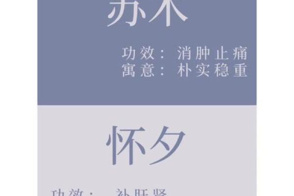 中药材公司取名技巧与创意方案大全