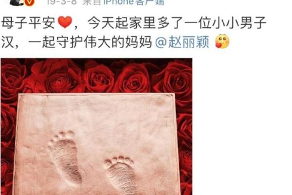 赵丽颖命理分析：事业与婚姻的平衡之道