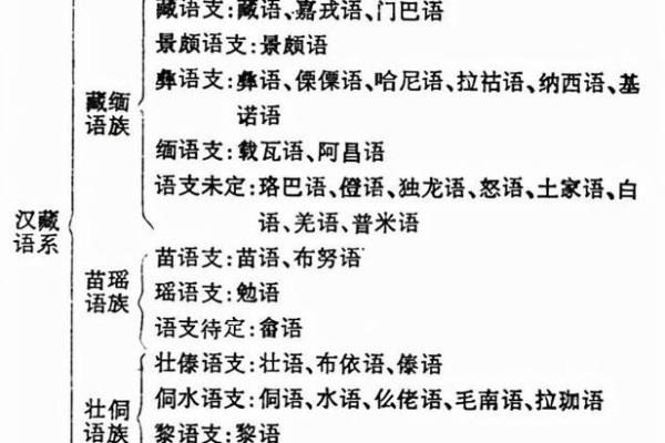 畲族语言与文字：保护与发展的文化挑战