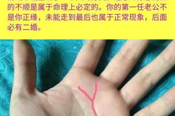 男生手相解析：如何从掌纹看出你的性格与命运