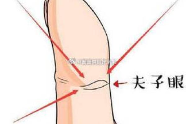 手相图解读：揭示你命运的神秘线条