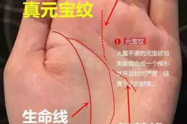 元宝纹手相分析：女性命运与财富的潜在关系