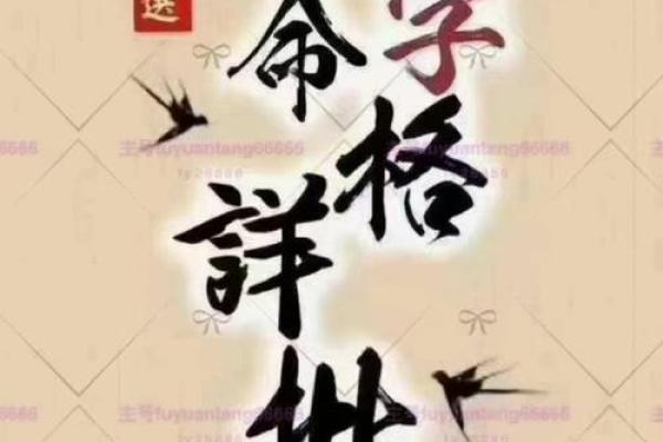 八字合婚免费测试，揭示你们的命中缘分