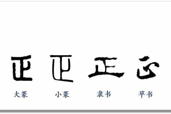 正字在五行中属于什么属性解析