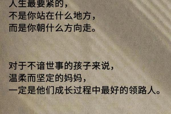 如何通过名字测算揭示个人命运和性格特征