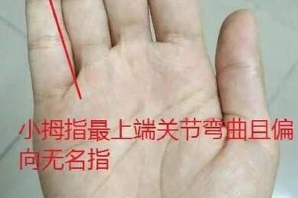 如何通过名字测算揭示个人命运和性格特征