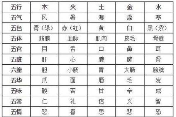 八字基础知识全解析：从初学者到命理高手