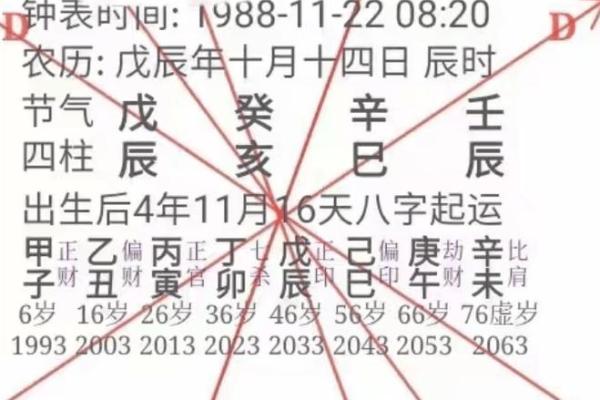 八字无官杀如何影响个人运势与性格分析