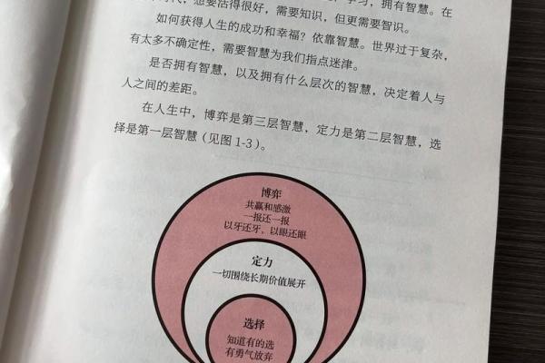 命名学指南：名字大全的智慧与选择