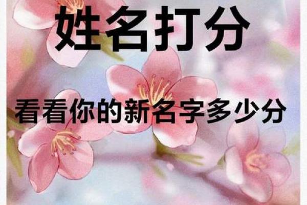 姓名打分免费体验，测试名字的运势与寓意