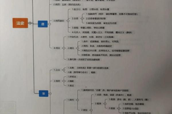 免费姓名评分系统：最准确的选择指南