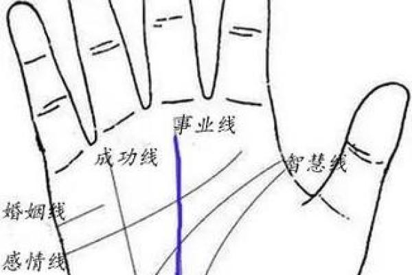 手相分析图揭示个性与未来趋势