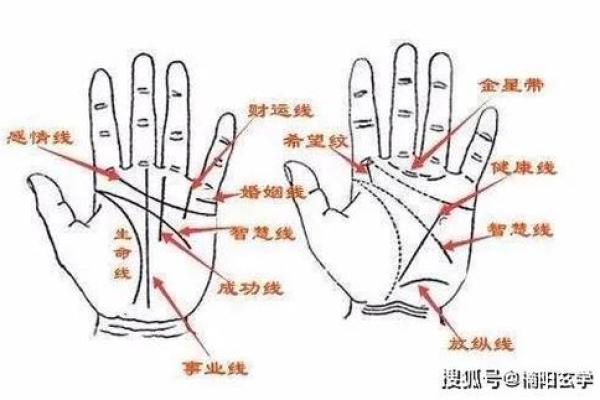 从女人手相看未来：掌纹中的生命密码