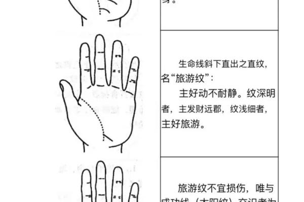 手相学入门：简单方法帮助你读懂手掌信息