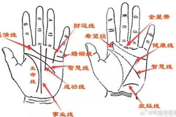 手相预测是否准确？你需要知道的几个关键点