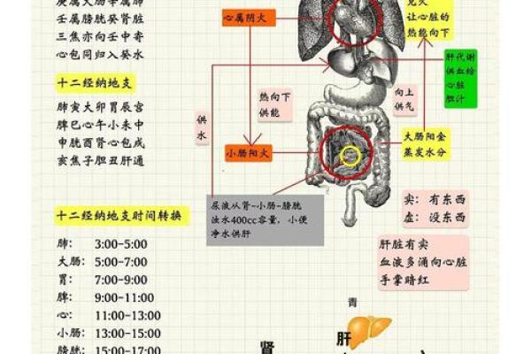 天干地支体系的形成与发展