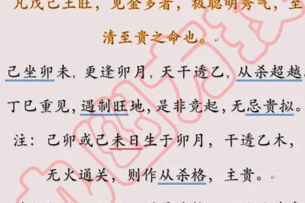 子平命理分析：如何根据八字选择事业发展方向