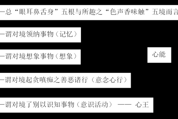 佛教经典与其哲学智慧解析