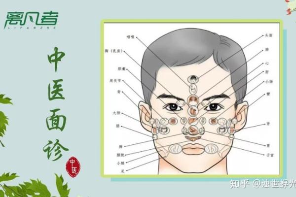 面相大全解析：揭示面部特征背后的性格与命运玄机