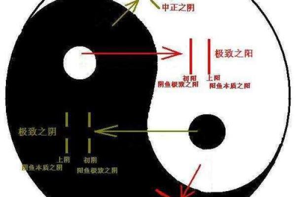 细说人体风水：如何利用姿势和气场改变命运