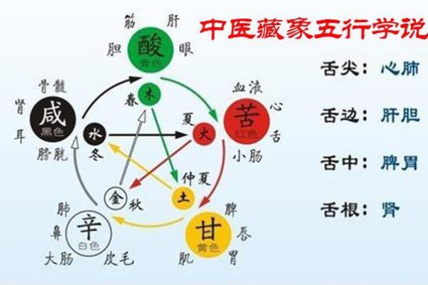 意五行属什么及其与性格命运的关系分析