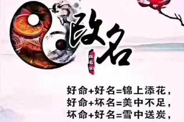 通过周易免费取名字 定制你的专属命名