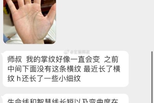 手相学入门指南，教你如何看懂生命线与智慧线