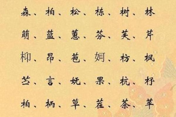 名字测试打分：从名字看人生运势，是否助力成功