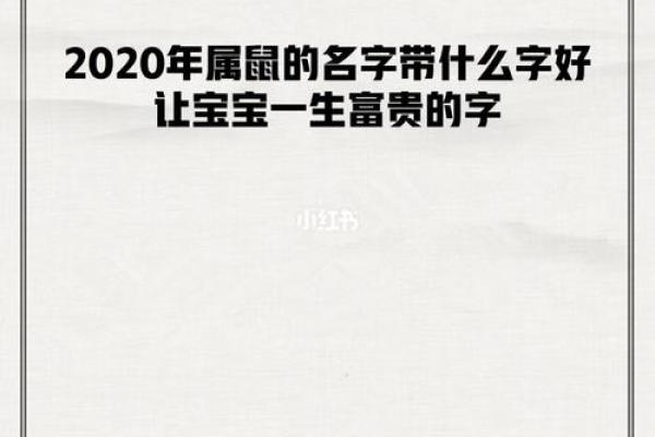 如何为鼠年宝宝起个有特色又寓意深刻的名字