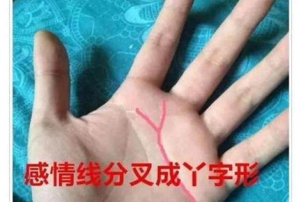 女人手相学：左手与右手的解读有何不同？