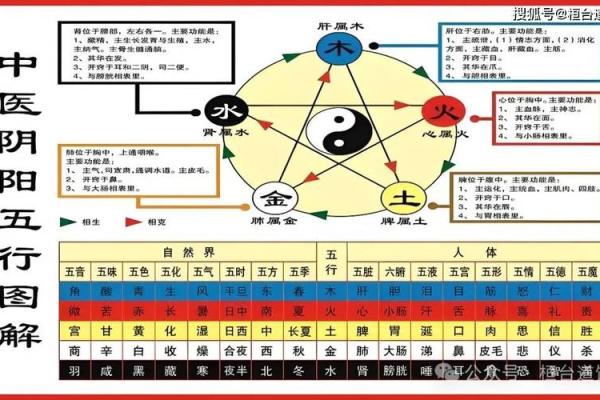 乙字在五行中属木的含义与解析