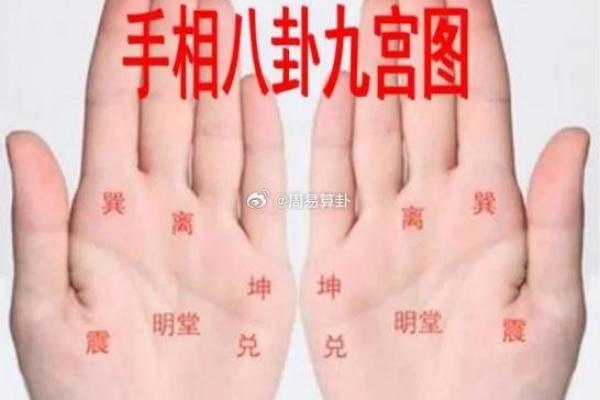 女人手相解析：掌中线条透露的性格与运势