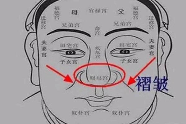 面相学揭秘：从五官看人的性格与运势