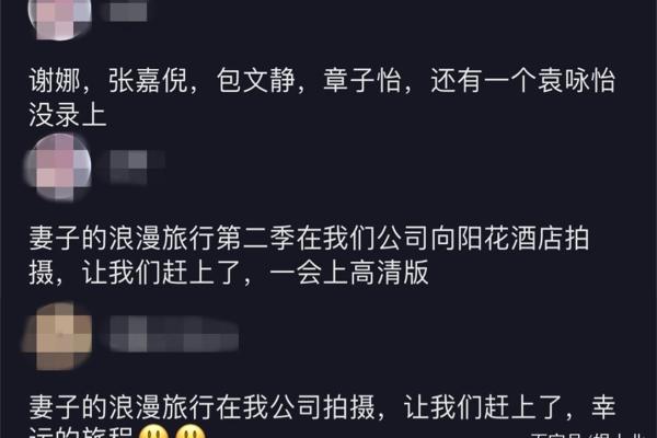 谢娜命理中的财富与婚姻运势分析