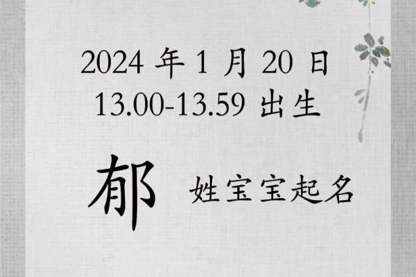 段姓宝宝起名指南：寓意深远与音韵和谐的完美选择