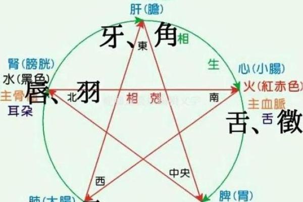 禹字的五行属性解析与深层意义探讨