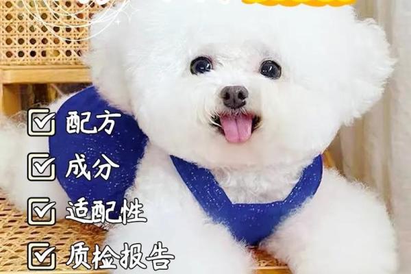 最适合小型犬的创意狗狗名字大全