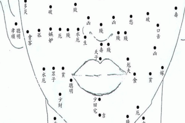 全身痣相解析：从面部到身体各部位的痣带来的运势与健康暗示