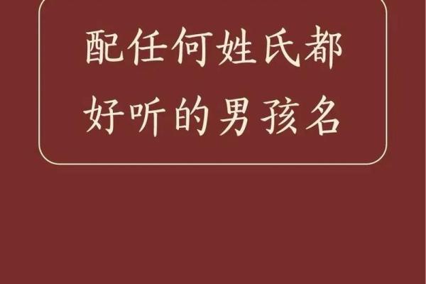 使用宝宝起名字软件，让命名更有创意和意义