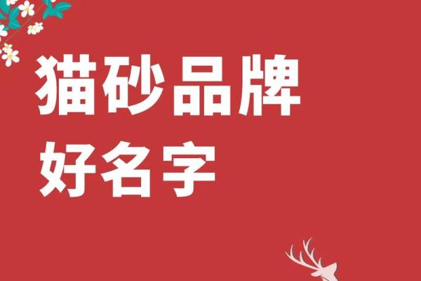 起个好名字，打造大品牌：公司命名网站推荐