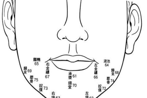 面相学入门：从额头到下巴分析你的命运走向