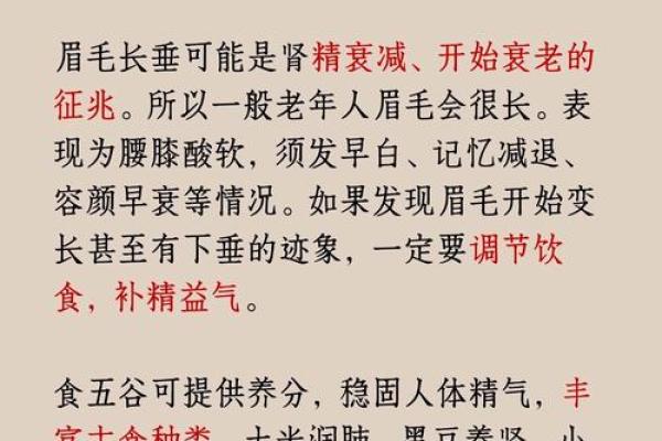 如何通过眉毛面相判断一个人的性格与未来